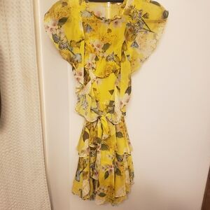 Marissa Webb Chiffon Floral Ruffle Mini Dress Size 4